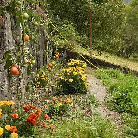 Pays De L'ours - Pyrenees * Melles